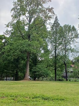 いばらきフラワーパークに投稿された画像（2024/4/30）