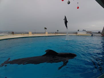 マリンワールド海の中道に投稿された画像（2024/4/30）