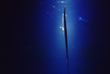 マリンワールド海の中道に投稿された画像（2024/4/30）