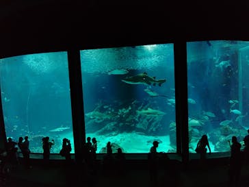 マリンワールド海の中道に投稿された画像（2024/4/30）