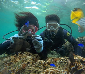 武藤潜水に投稿された画像（2024/5/1）