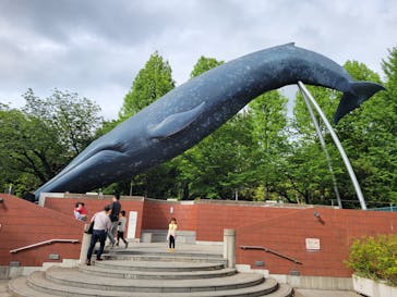 国立科学博物館に投稿された画像（2024/5/1）