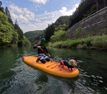 高知SUP同好会に投稿された画像（2024/5/1）