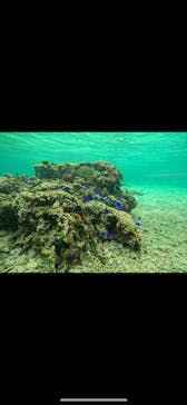 武藤潜水に投稿された画像（2024/5/1）