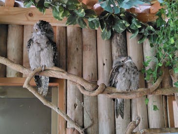 神戸どうぶつ王国に投稿された画像（2024/5/1）