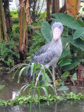 神戸どうぶつ王国に投稿された画像（2024/5/1）