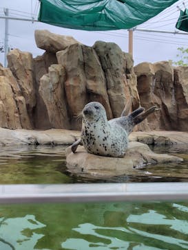 神戸どうぶつ王国に投稿された画像（2024/5/1）