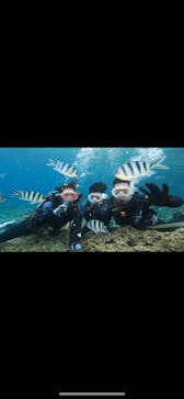武藤潜水に投稿された画像（2024/5/1）