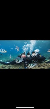 武藤潜水に投稿された画像（2024/5/1）
