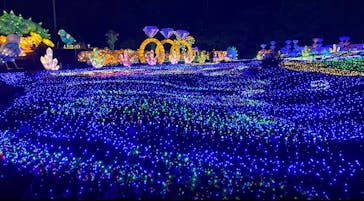 伊豆ぐらんぱる公園に投稿された画像（2024/5/1）