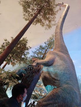 福井県立恐竜博物館に投稿された画像（2024/5/1）