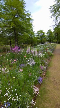 浜名湖花博2024に投稿された画像（2024/5/1）