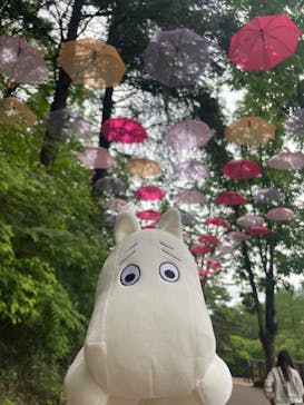 ムーミンバレーパークに投稿された画像（2024/5/1）