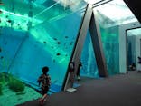 環境水族館アクアマリンふくしまに投稿された画像（2024/5/1）