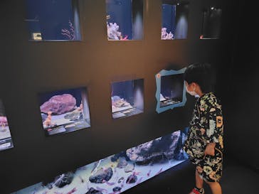 環境水族館アクアマリンふくしまに投稿された画像（2024/5/1）