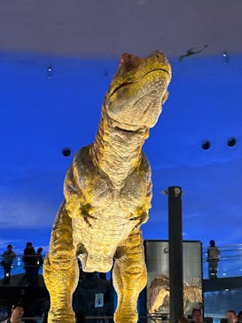 福井県立恐竜博物館に投稿された画像（2024/5/1）