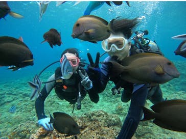 武藤潜水に投稿された画像（2024/5/1）