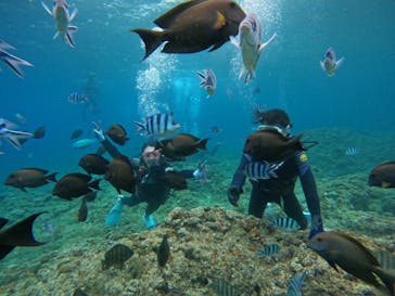 武藤潜水に投稿された画像（2024/5/1）