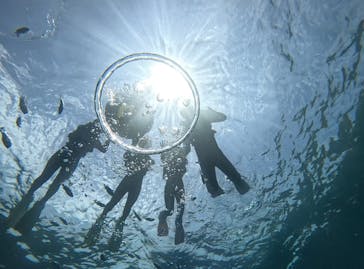 武藤潜水に投稿された画像（2024/5/1）