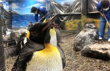 越前松島水族館に投稿された画像（2024/5/1）