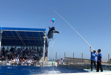 越前松島水族館に投稿された画像（2024/5/1）