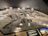 福井県立恐竜博物館に投稿された画像（2024/5/1）