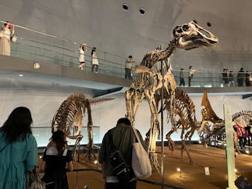 福井県立恐竜博物館に投稿された画像（2024/5/1）