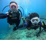 武藤潜水に投稿された画像（2024/5/1）