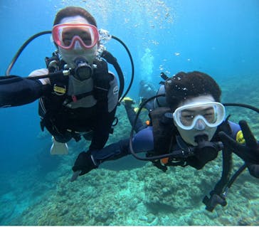 武藤潜水に投稿された画像（2024/5/1）