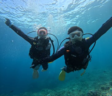 武藤潜水に投稿された画像（2024/5/1）