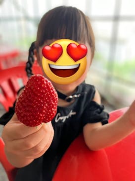 Strawberry Farm シャインベリーに投稿された画像（2024/5/1）