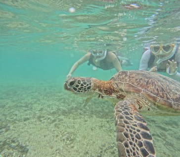 初心者専門宮古島シュノーケリングツアーに投稿された画像（2024/5/1）