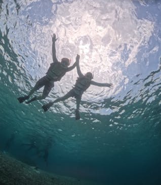 初心者専門宮古島シュノーケリングツアーに投稿された画像（2024/5/1）