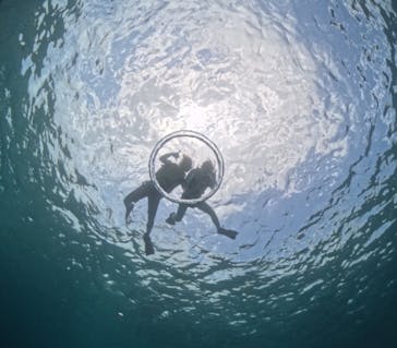 初心者専門宮古島シュノーケリングツアーに投稿された画像（2024/5/1）