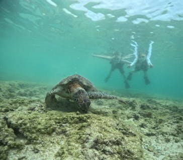 宮古島マリンショップSmileyに投稿された画像（2024/5/1）