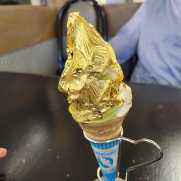 土肥金山に投稿された画像（2024/5/1）