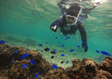 武藤潜水に投稿された画像（2024/5/1）