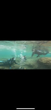 武藤潜水に投稿された画像（2024/5/1）