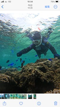 武藤潜水に投稿された画像（2024/5/1）