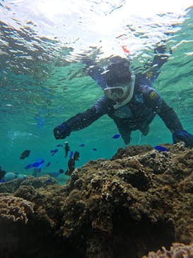 武藤潜水に投稿された画像（2024/5/1）