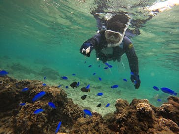 武藤潜水に投稿された画像（2024/5/1）