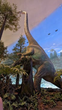 福井県立恐竜博物館に投稿された画像（2024/5/1）