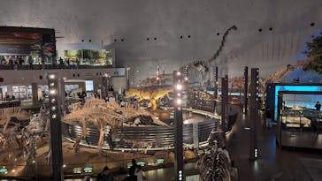 福井県立恐竜博物館に投稿された画像（2024/5/1）