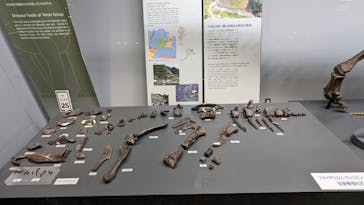 福井県立恐竜博物館に投稿された画像（2024/5/1）