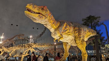 福井県立恐竜博物館に投稿された画像（2024/5/1）