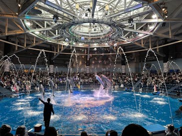 マクセル アクアパーク品川に投稿された画像（2024/5/1）