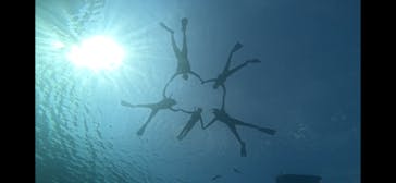 MalDive（モルダイブ）に投稿された画像（2024/5/1）