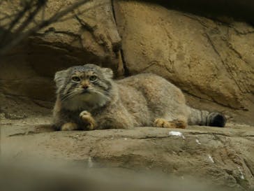 那須どうぶつ王国に投稿された画像（2024/5/1）