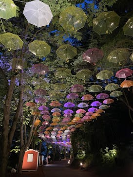 ムーミンバレーパークに投稿された画像（2024/5/1）