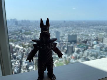 サンシャイン60展望台に投稿された画像（2024/5/1）